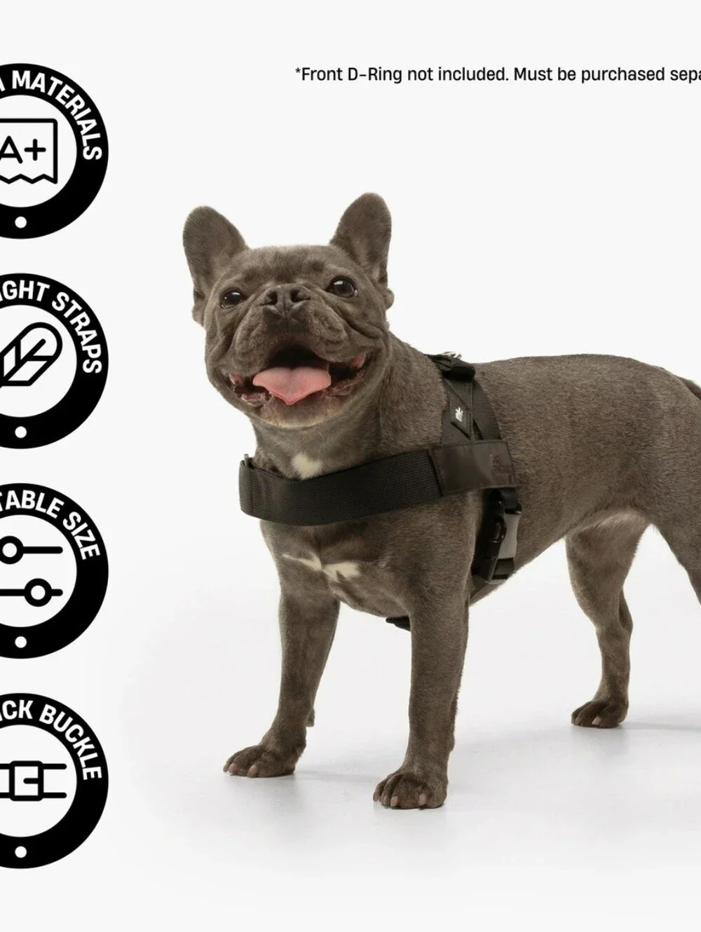 Dog Freindly no pull